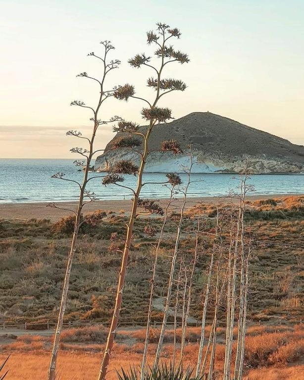 Exclusiva Casa Con Encanto En Agua Amarga Agua Amarga  Eksteriør bilde